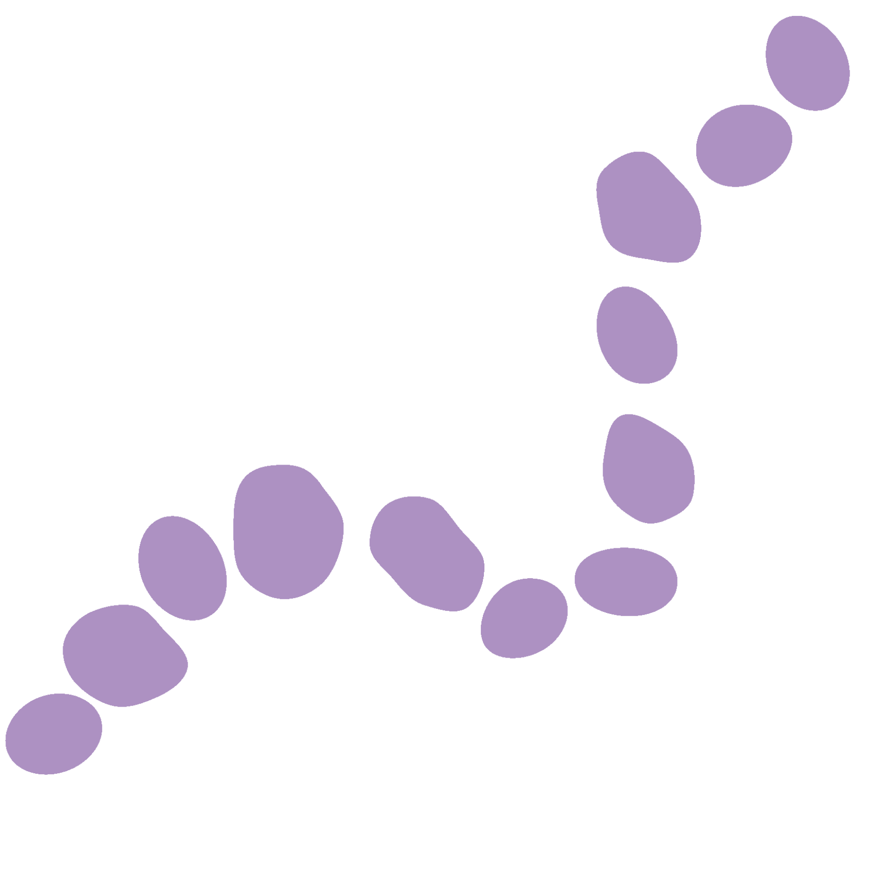 PebblePath Pediatric Dentistry Orthodontics | Orthodontics, Crowns amp Caps and Implant Restorations