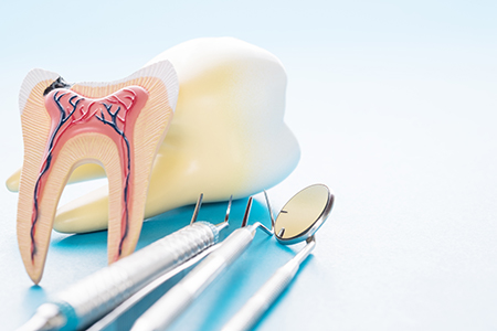 PebblePath Pediatric Dentistry Orthodontics